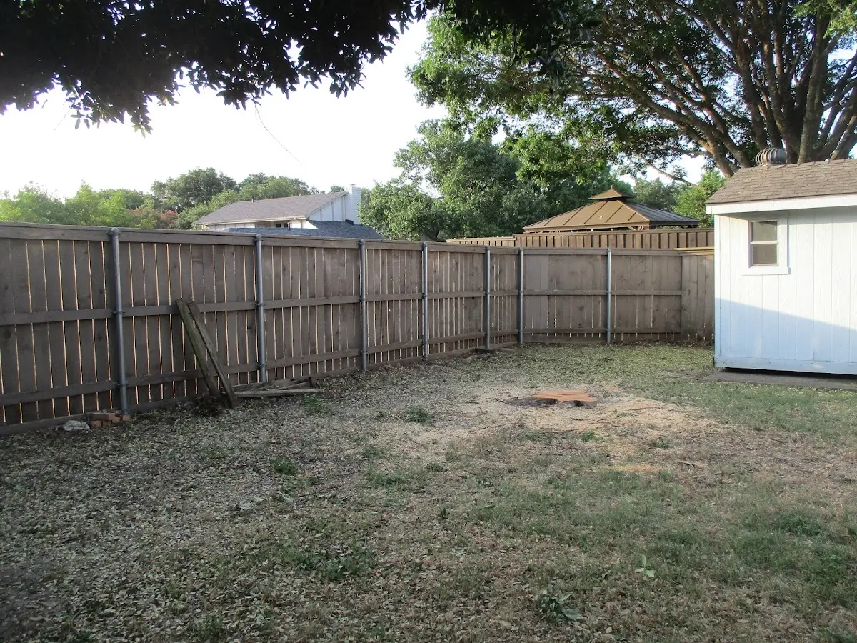 Cleared yard after professional tree removal in Parkville