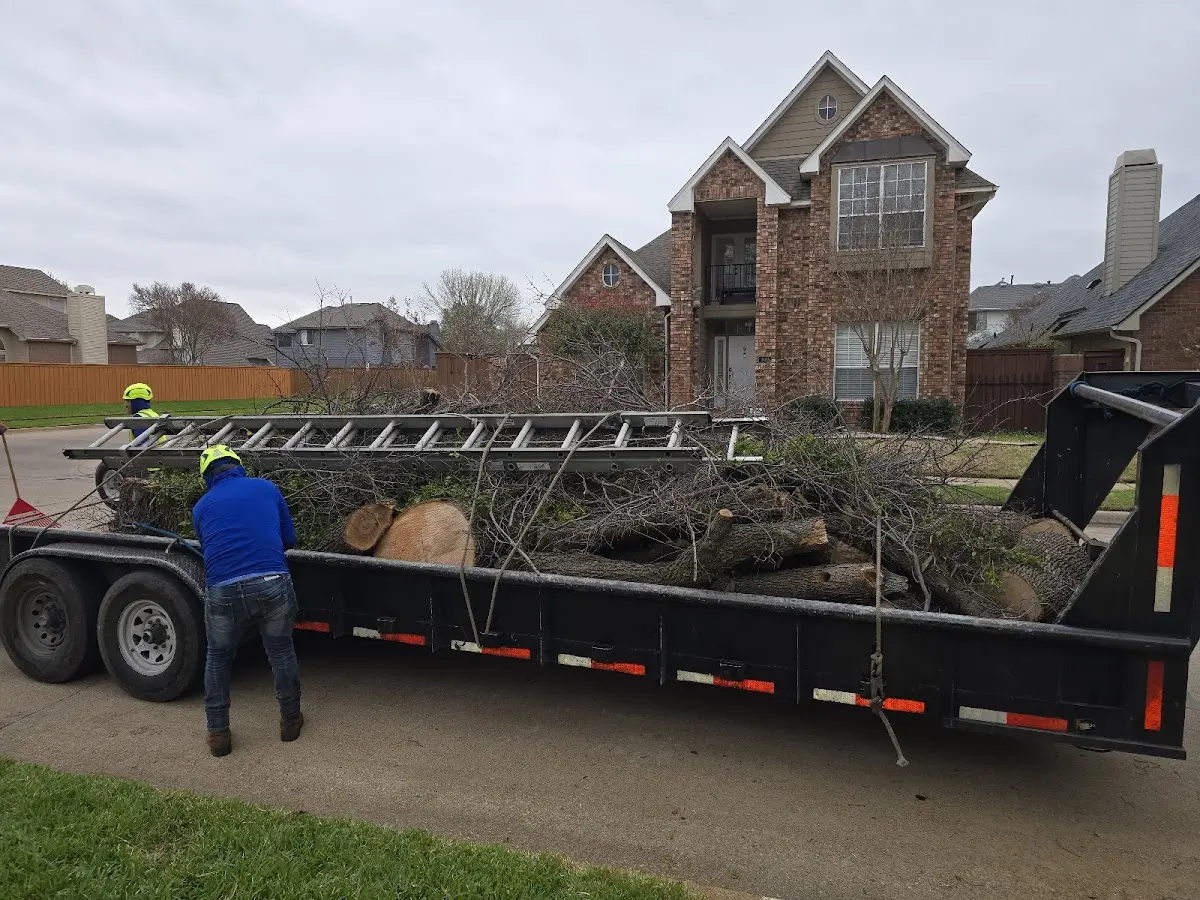 Expert Tree Removal with proper safety equipment in Parkville
